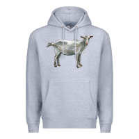 Heather Grey saanen goat Premium Hoodie - LillyAllenDesigns