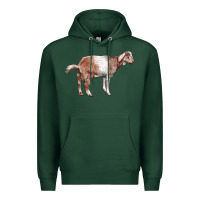 Sports Green Nubian Goat Premium Hoodie - LillyAllenDesigns