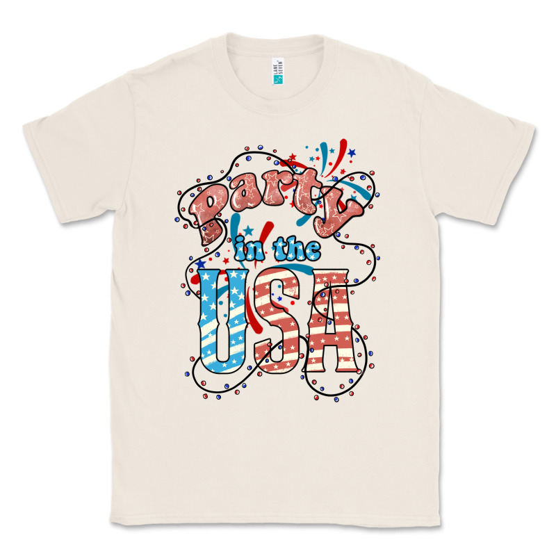Party In The Usa 4th Of July Classic Tee by HowdyJamesFarm | Teevron