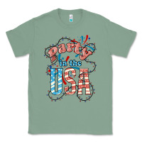 Sage Party in the USA 4th of july Classic Tee - HowdyJamesFarm