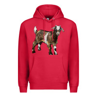 Cardinal Baby Tennessee Fainting Goat Premium Hoodie - LillyAllenDesigns