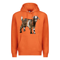 Carrot Baby Tennessee Fainting Goat Premium Hoodie - LillyAllenDesigns