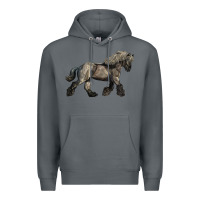 Rock Belgian Horse Premium Hoodie - LillyAllenDesigns