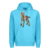 Ocean Blue Baby Nubian Goat Premium Hoodie - LillyAllenDesigns