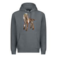 Rock Baby Nubian Goat Premium Hoodie - LillyAllenDesigns