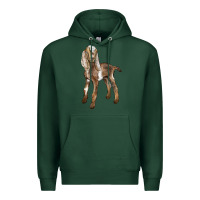 Sports Green Baby Nubian Goat Premium Hoodie - LillyAllenDesigns