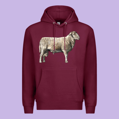 Katahdin Sheep Premium Hoodie Designed By Lillyallendesigns