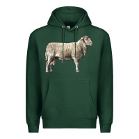 Sports Green katahdin sheep Premium Hoodie - LillyAllenDesigns