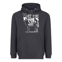 Nice Hand Sir Donkey Poker Funny Gambling Design For Fans Heavyweight Hoodie | Teevron