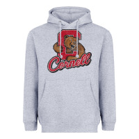 Heather Grey cornell Heavyweight Hoodie - DesignPulse