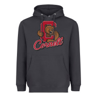Smoke cornell Heavyweight Hoodie - DesignPulse