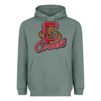Sage cornell Heavyweight Hoodie - DesignPulse