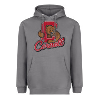 Storm cornell Heavyweight Hoodie - DesignPulse