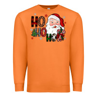 Carrot ho ho ho Premium Sweatshirt - JahusDesignShop