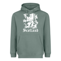 Sage youth scotland Heavyweight Hoodie - DesignPulse