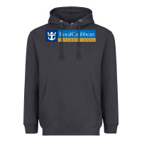 Smoke Royal Caribbean International Heavyweight Hoodie - DesignPulse