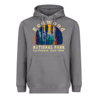 Storm redwood national park california retro vintage cam Heavyweight Hoodie - DesignPulse
