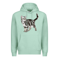 Seafoam American Shorthair Cat Premium Hoodie - LillyAllenDesigns