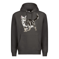Smoke American Shorthair Cat Premium Hoodie - LillyAllenDesigns