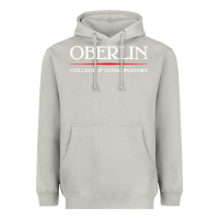 Moon Dust oberlin, conservatory of music Heavyweight Hoodie - DesignPulse