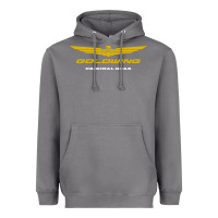 Storm goldwing Heavyweight Hoodie - PixelWave