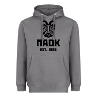 Storm paok merch Heavyweight Hoodie - PixelWave