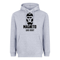 Heather Grey magneto was right Heavyweight Hoodie - PixelWave