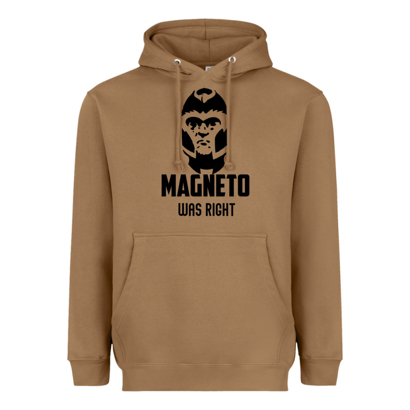 Magneto Was Right Heavyweight Hoodie by PixelWave | Teevron