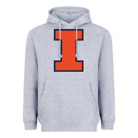 Heather Grey illinois fighting illini Heavyweight Hoodie - PixelWave