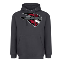 Smoke western colorado mountaineers Heavyweight Hoodie - Craftify