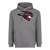 Storm western colorado mountaineers Heavyweight Hoodie - Craftify