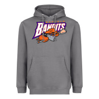 Storm the lacrosse buffalo bandits Heavyweight Hoodie - ArtChic