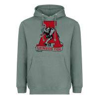 Sage alabama roll tide Heavyweight Hoodie - ArtChic