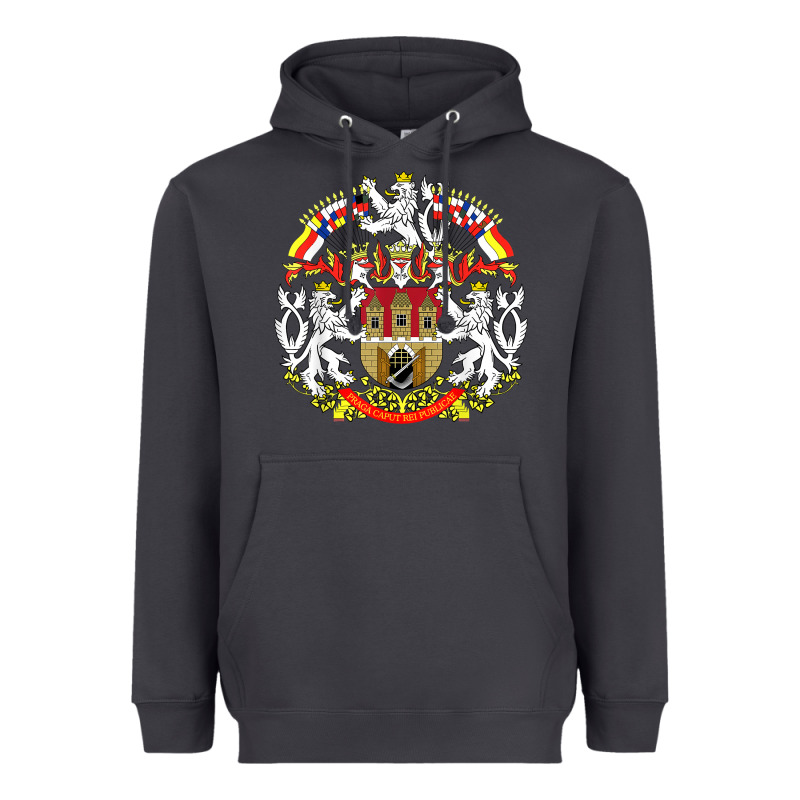 Praha Prague Czech Republic Coat Of Arms Ex Czechoslovakia T Shirt Heavyweight Hoodie by ArtChic | Teevron