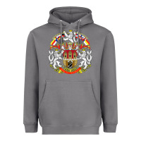 Storm praha prague czech republic coat of arms ex czechoslovakia t shirt Heavyweight Hoodie - ArtChic