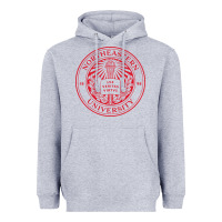 Heather Grey Northeastern University Heavyweight Hoodie - ArtChic