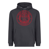 Smoke Northeastern University Heavyweight Hoodie - ArtChic