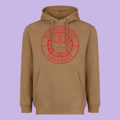 Northeastern University Heavyweight Hoodie Designed By Artchic