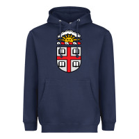Navy brown university Heavyweight Hoodie - StudioElite