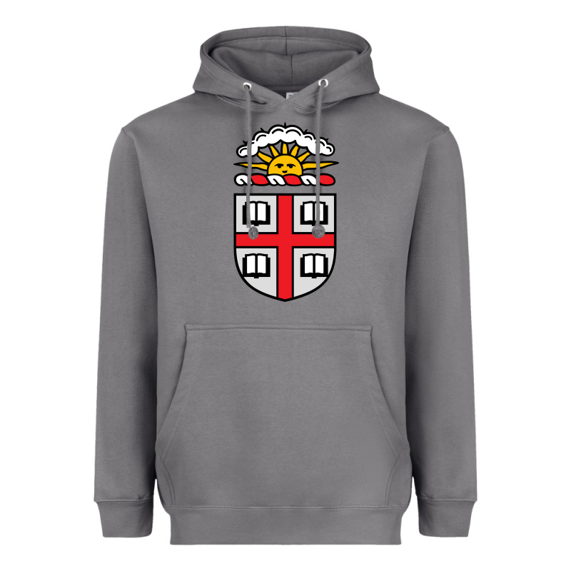 Brown University Heavyweight Hoodie by StudioElite | Teevron