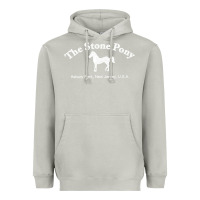 Moon Dust The Stone Pony Heavyweight Hoodie - StudioElite