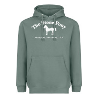 Sage The Stone Pony Heavyweight Hoodie - StudioElite