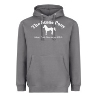 Storm The Stone Pony Heavyweight Hoodie - StudioElite