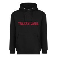 Black transylvania university Heavyweight Hoodie - PixelFlow