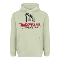 Matcha transylvania university Heavyweight Hoodie - PixelFlow