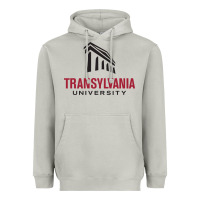 Moon Dust transylvania university Heavyweight Hoodie - PixelFlow