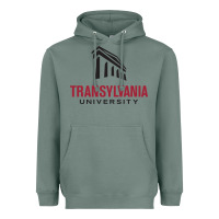 Sage transylvania university Heavyweight Hoodie - PixelFlow