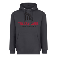Smoke transylvania university Heavyweight Hoodie - PixelFlow