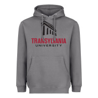 Storm transylvania university Heavyweight Hoodie - PixelFlow