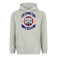 Moon Dust the gaslight anthem Heavyweight Hoodie - PixelFlow